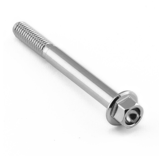 Stainless Steel Flanged Hex Head Bolt M6x(1.00mm)x55mm
