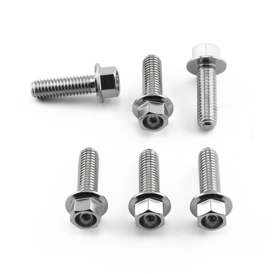 Stainless Steel Disc Bolt Flanged Hex M6 x 20mm Front Pack x6