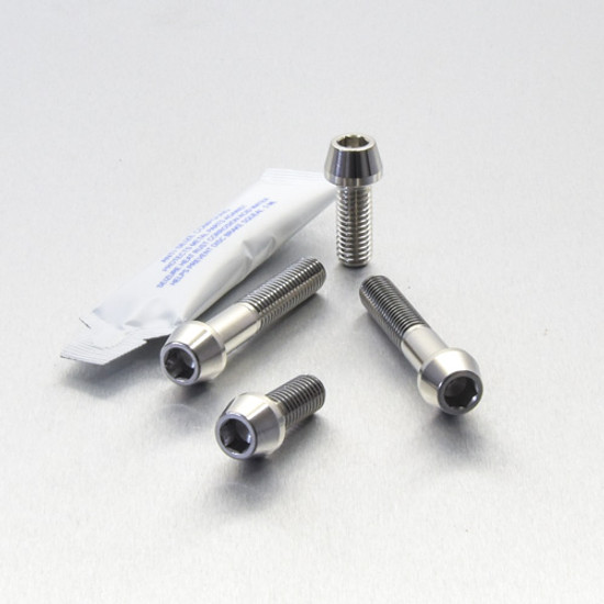 Stainless Steel Grab Rail Mount Bolts
