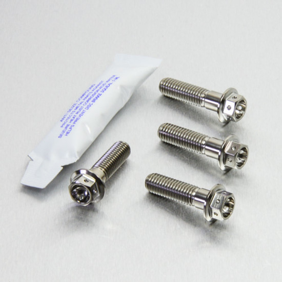 Stainless Steel Pillion Footrest Hanger Bolt Kit Race Spec