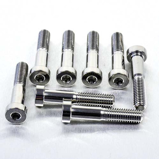 Stainless Steel Brembo Caliper Pinch Bolt M8x40mm Pack x8