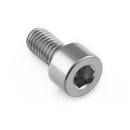 Titanium Parallel Socket Cap M5x(0.80mm)x10mm DIN 912