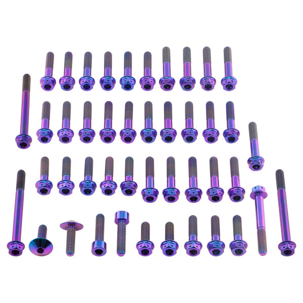 Titanium Engine Kit Suzuki GSX1300R Haybusa DualDrive Purple Haze