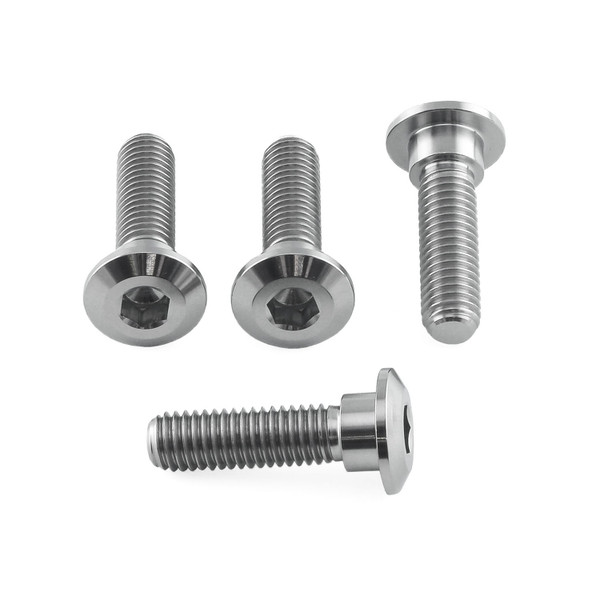 Titanium Disc Bolt To Fit Kawasaki/Suzuki M8x30mm Pack x4