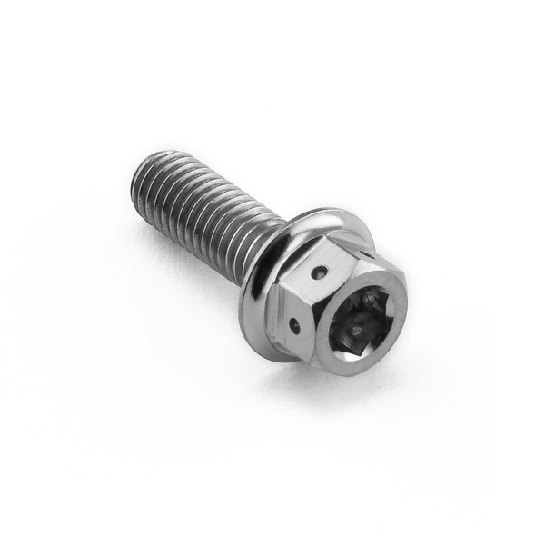 Titanium DualDrive Bolt M5x(0.80mm)x15mm Race Spec