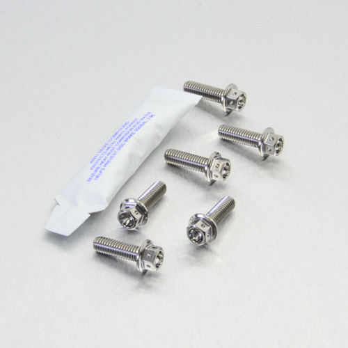 Titanium Disc Bolt M6x20mm Race Spec Pack x6 Rear