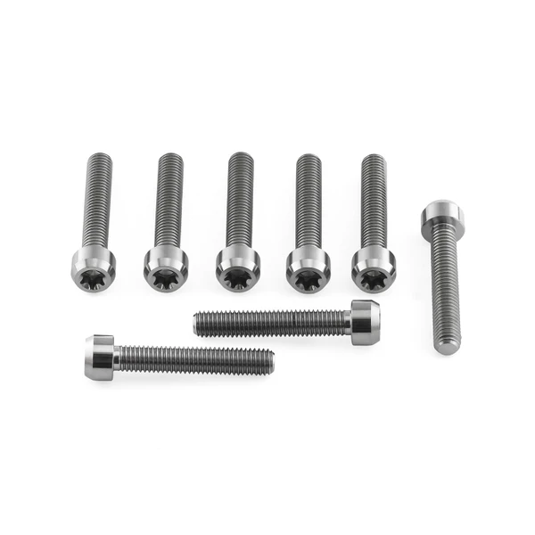 Titanium Front Caliper Pinch Bolt Kit Torx Drive