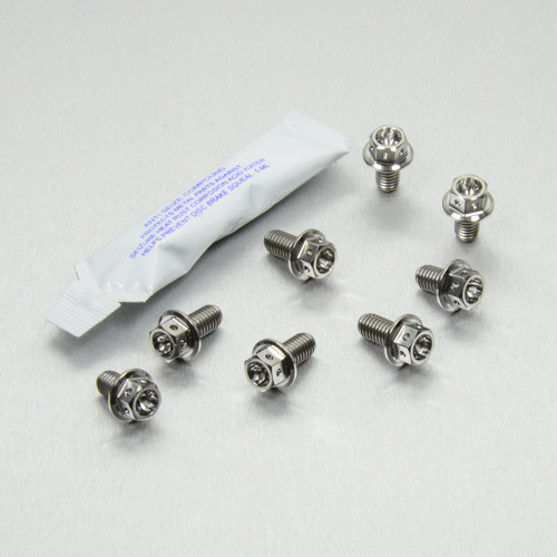 Titanium Radiator Guard Mount Bolt Kit Race Spec