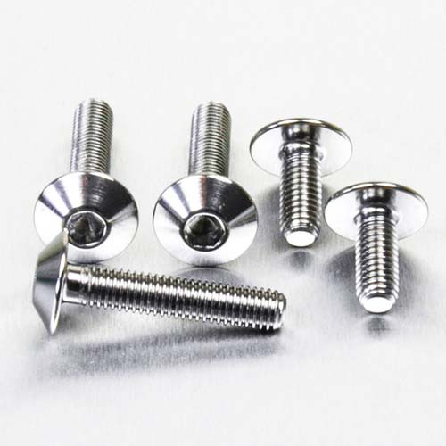 Titanium Chain Guard & Rear Hugger Bolt Kit