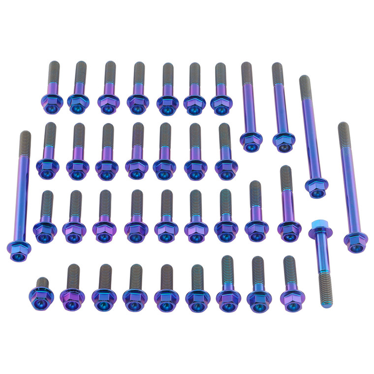 Titanium Engine Kit Kawasaki Ninja ZX-6R Flanged Hex Head Bolt Purple Haze