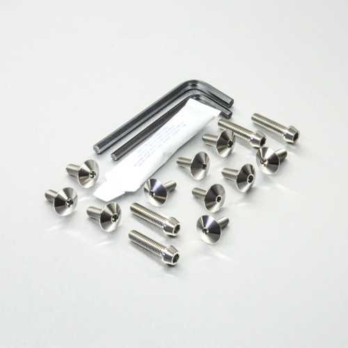 Titanium Fairing Kit Yamaha XJR1300