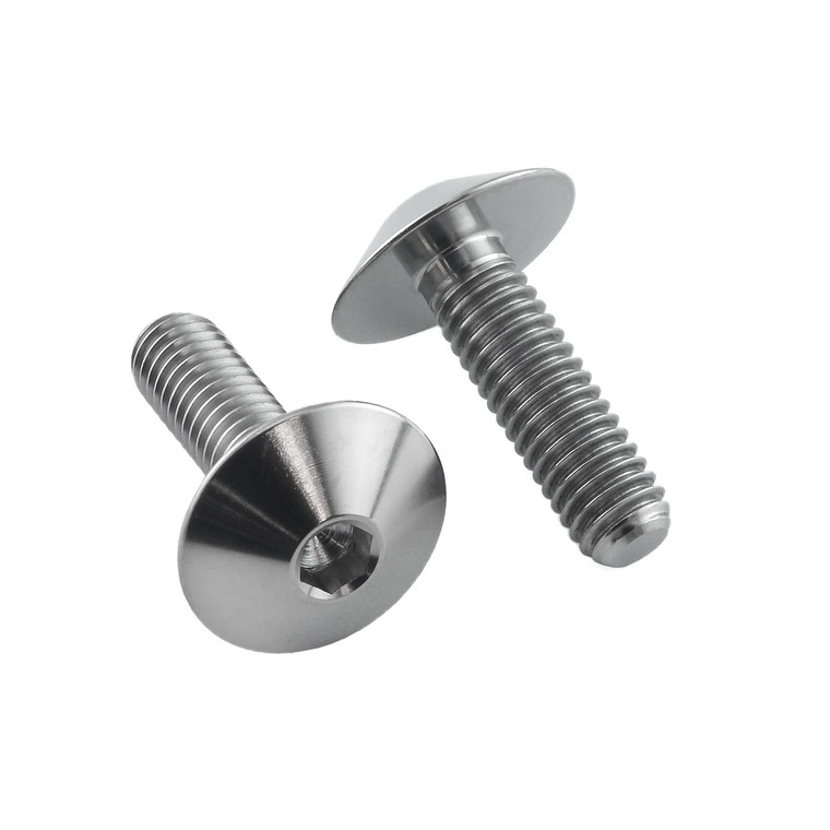 Titanium Screen Kit 2 Bolt
