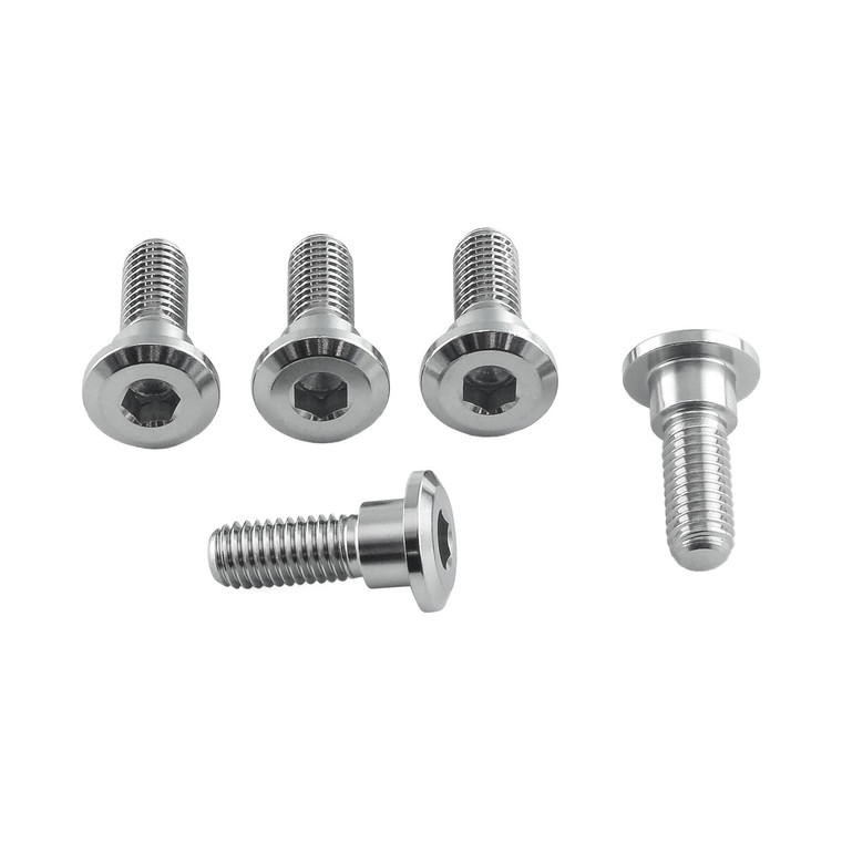 Stainless Steel Disc Bolt To Fit Honda M8x24mm Pack x5