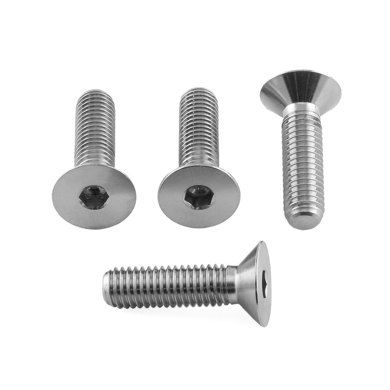 Stainless Steel Grab Rail Mount Bolts