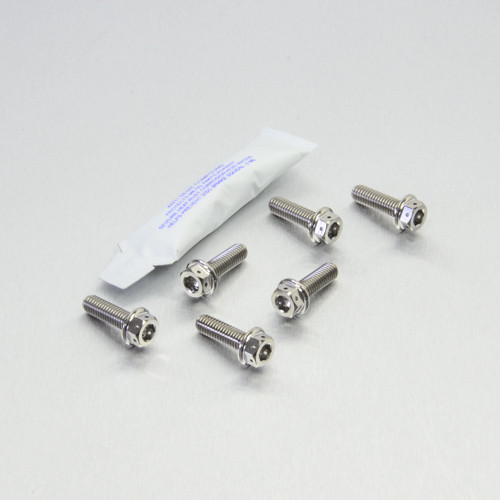 Titanium Disc Bolt M6x20mm DualDrive Pack x6 Front