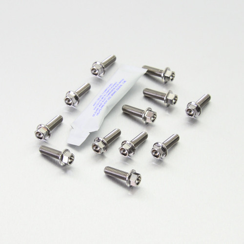 Titanium Disc Bolt M6x20mm Flanged Hex Pack x12 Front