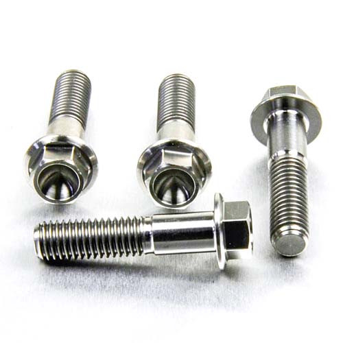 Titanium Rider Footrest Hanger Bolt Kit