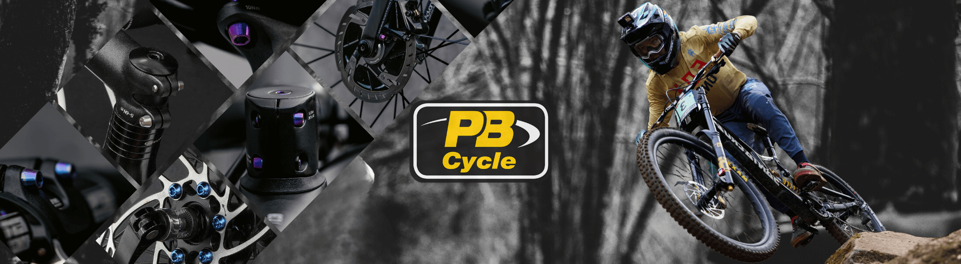 Pro-Bolt | Professional Motorcycle Bolts and Fasteners