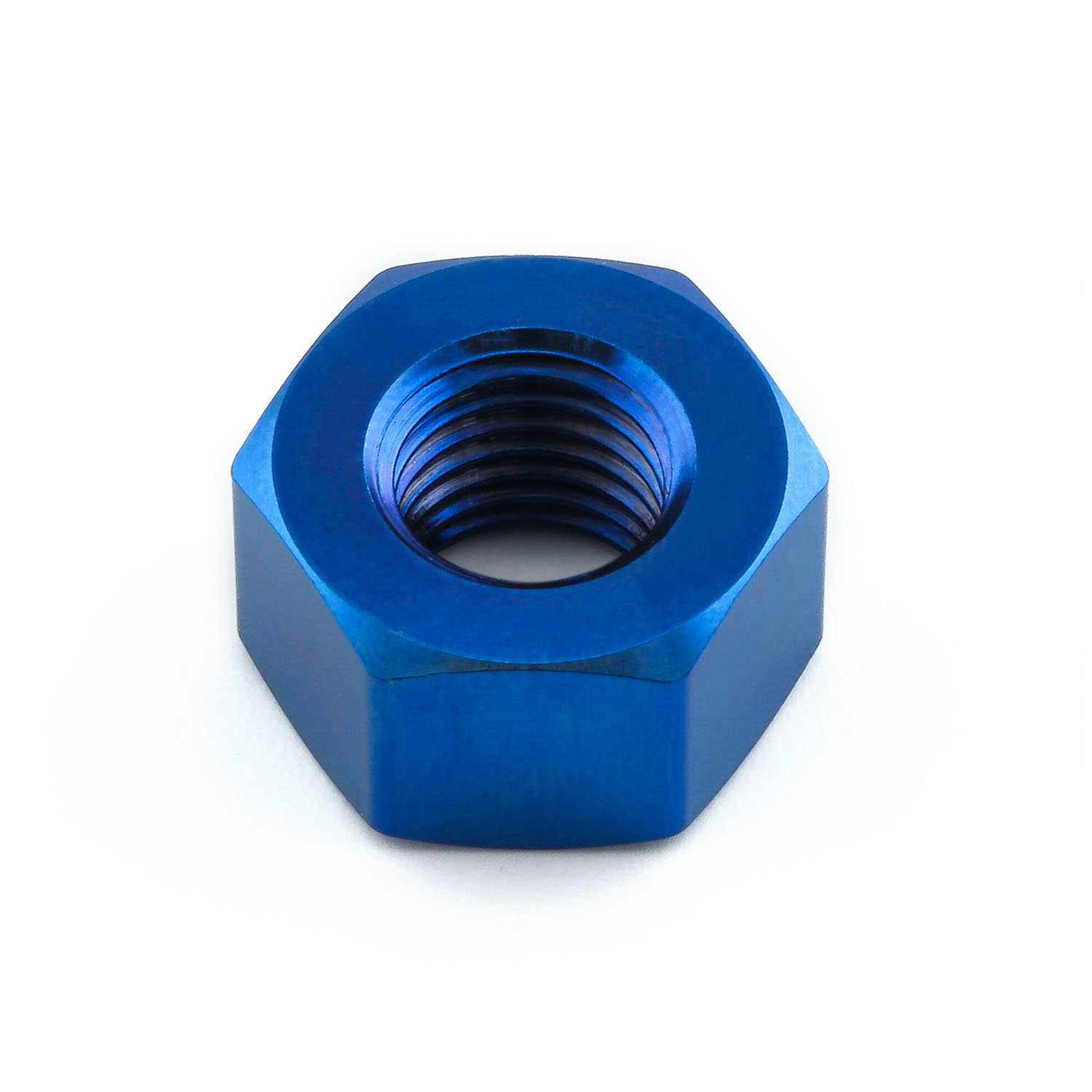Briesta gradation blue NUTS ブリエスタ TIFN10FB__56301.1749135138.jpg?c=1