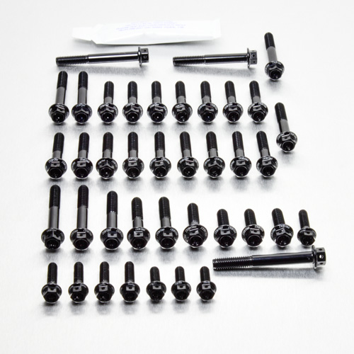 Aluminium Engine Kit Aprilia SL Falco 1000 Race Spec Etched 99-05 Black 99-05 img