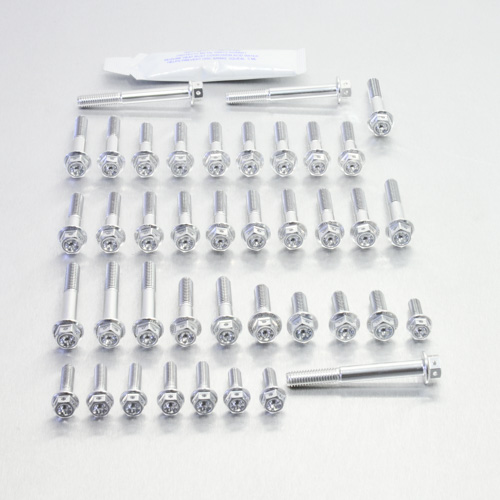 Aluminium Engine Kit Aprilia SL Falco 1000 Race Spec Etched 99-05 Silver 99-05 img