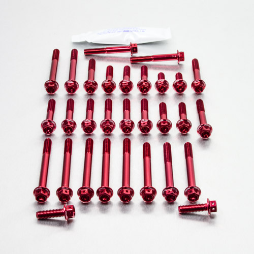 Aluminium Engine Kit KTM 4 Stroke SX250 Race Spec Etched EOKTM110HXRE Red 10-11 img