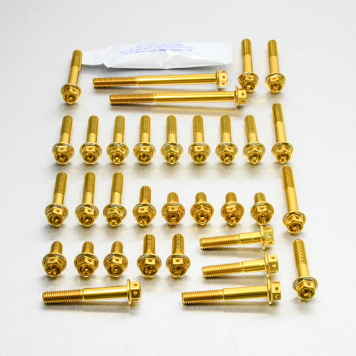 Aluminium Engine Kit Kawasaki KLX250 '09+ Race Spec Etched EOKA45HXRE Gold 09-20 img