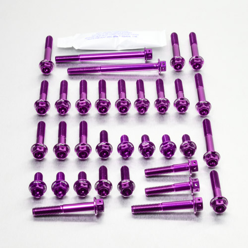 Aluminium Engine Kit Kawasaki KLX250 '09+ Race Spec Etched Purple 09-20 img