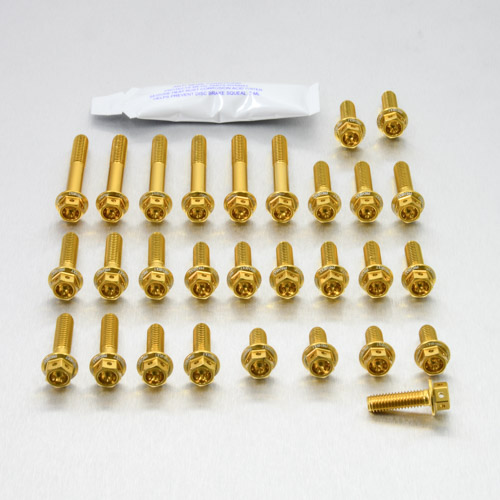 Aluminium Engine Kit Suzuki GSF650 Bandit Race Spec Etched ESU101HXRE Gold 05-06 img