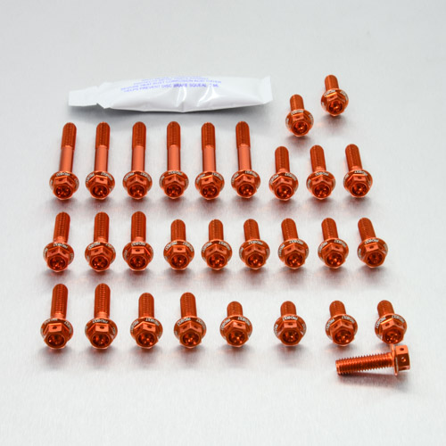 Aluminium Engine Kit Suzuki GSF650 Bandit Race Spec Etched Orange 05-06 img