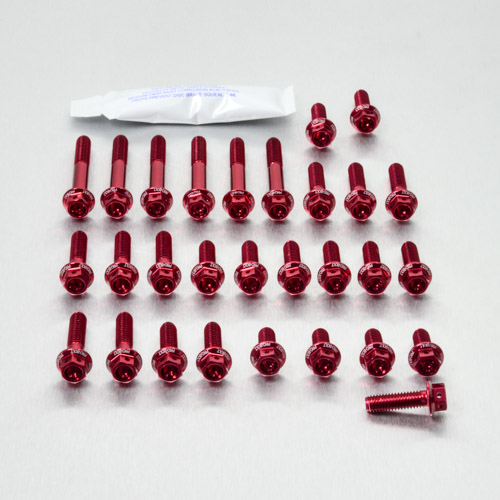 Aluminium Engine Kit Suzuki GSF650 Bandit Race Spec Etched ESU101HXRE Red 05-06 img