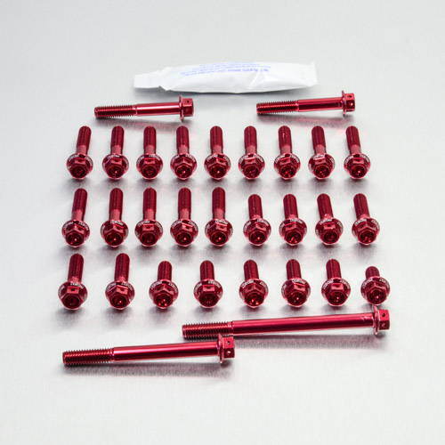 Aluminium Engine Kit Honda CRF250 Race Spec Etched 08-09 EOHO76HXRE Red 04-08 img