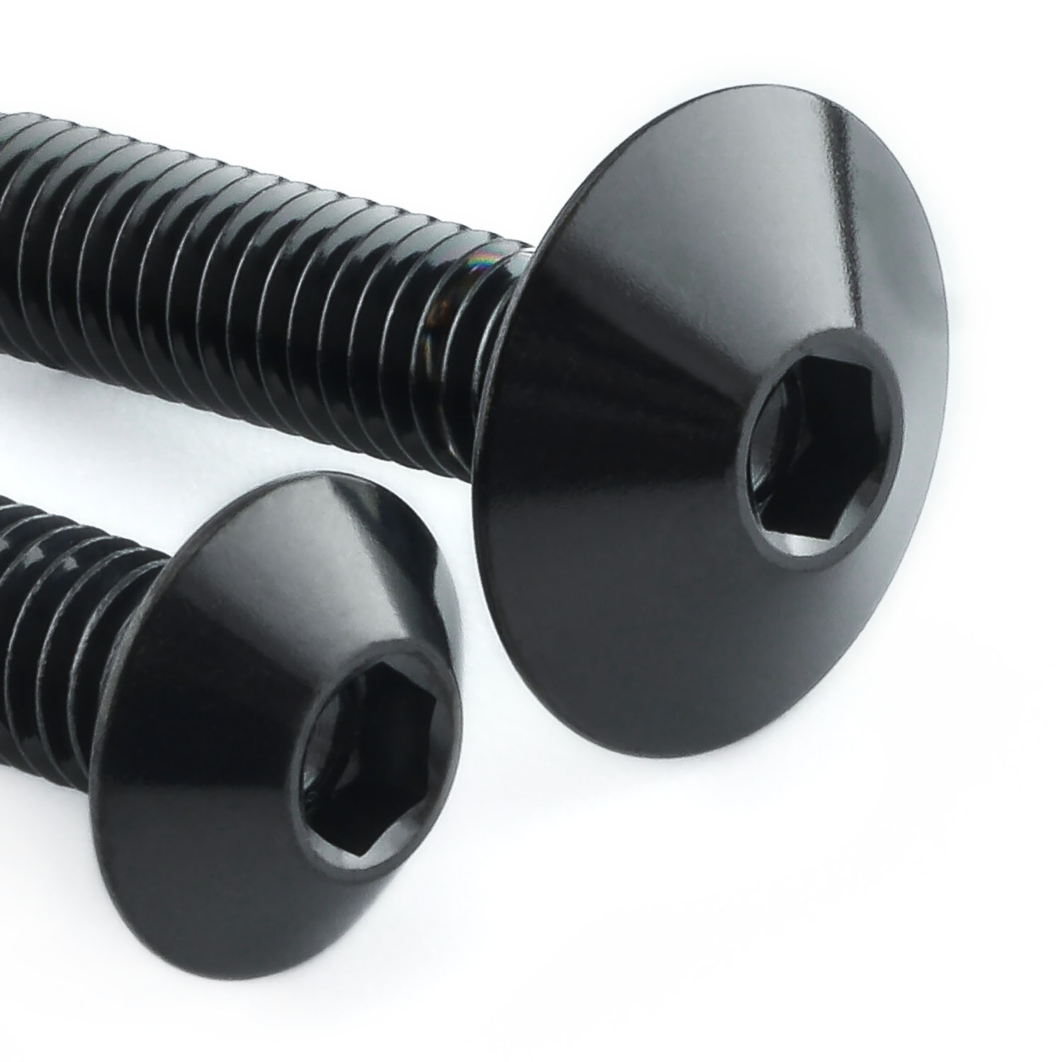 Stainless Steel Mudguard & Hugger Bolt Kit MUDHUG170SS - Black | Pro-Bolt img