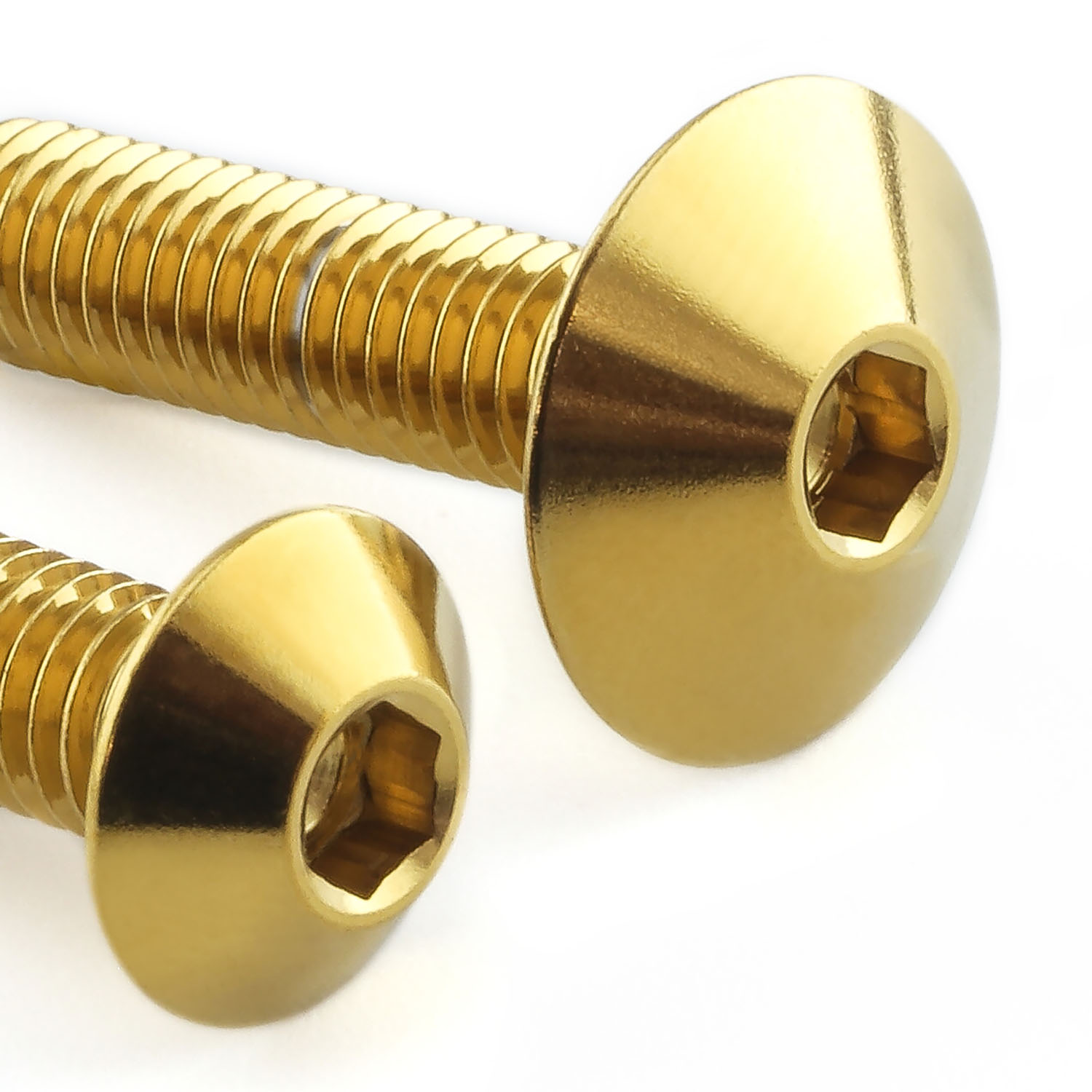 Stainless Steel Mudguard & Hugger Bolt Kit MUDHUG170SS - Gold | Pro-Bolt img