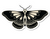 Tattoo Moth Sticker