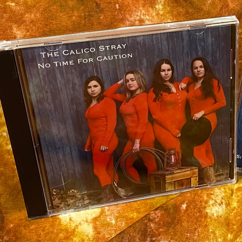 CD The Calico Stray - Tooth of Time Traders