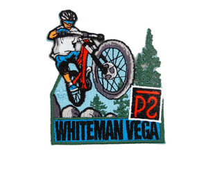 Whiteman Vega Camp Patch