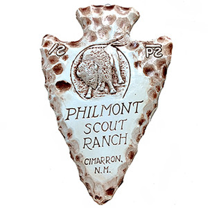 Ceramic Buffalo Plaque