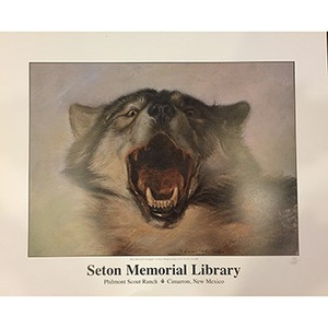 Ernest Thompson Seton Black Wolf Poster Ernest Thompson Seton Black Wolf Poster