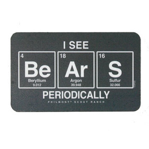 I See Bears Periodically Magnet