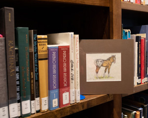 Hand Colored Pen & Ink - Colt Hand Colored Pen & Ink - Colt