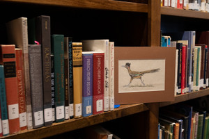 Hand Colored Pen & Ink - Roadrunner