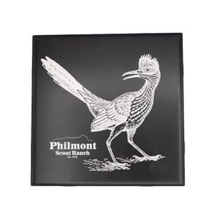 Roadrunner Etched Tile