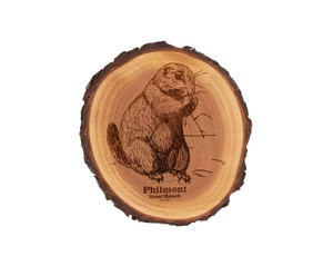 Beaver Wood Slice