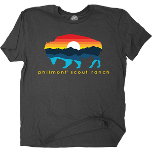 Tee Buffalo Sunset