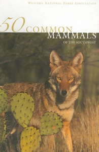 50 Common Mammals of the Southwest