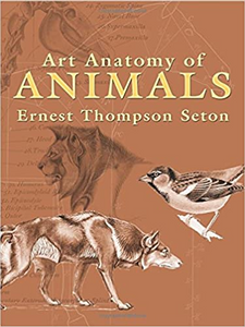 Art Anatomy of Animals Art Anatomy of Animals
