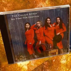 CD The Calico Stray