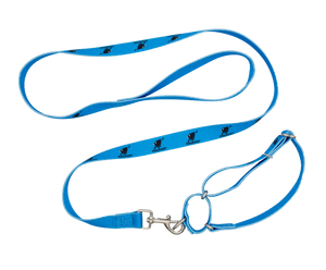 Leash And Collar Bull Philmont
