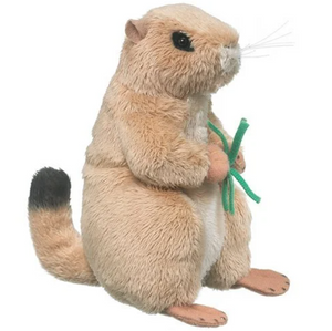 Stuffed Animal Prairie Dog